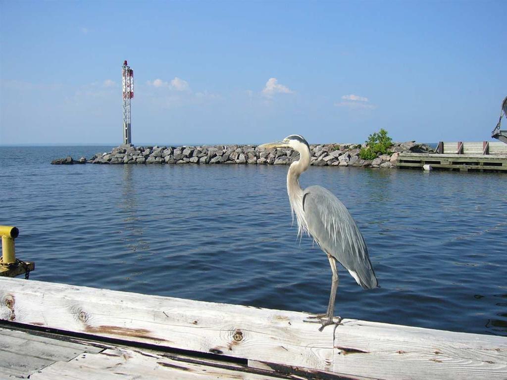 Hampton Inn By Hilton North Bay Einrichtungen foto